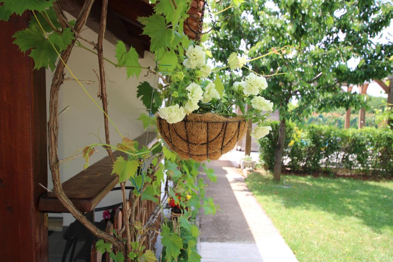 Apartments Green Garden Labinci 외부 사진